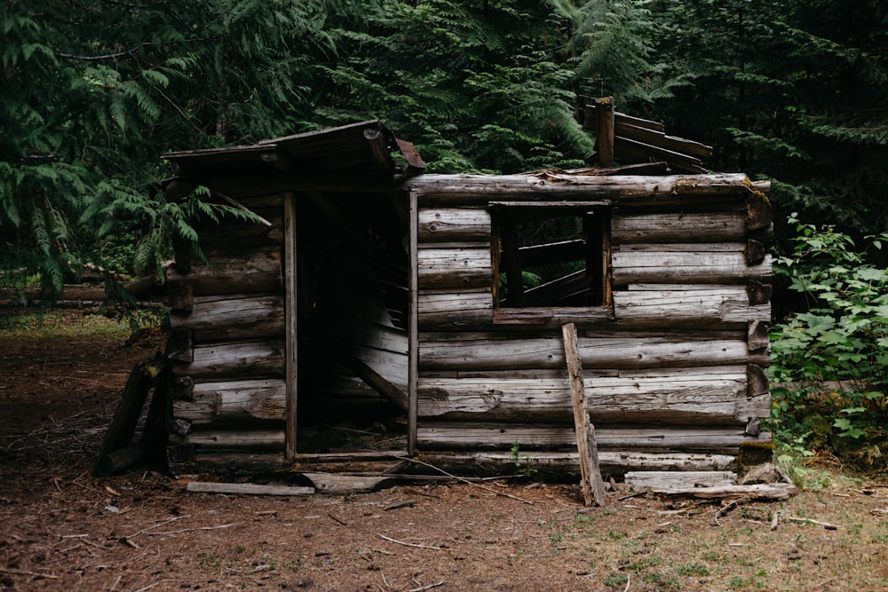 gray wooden handmade shed under green trees