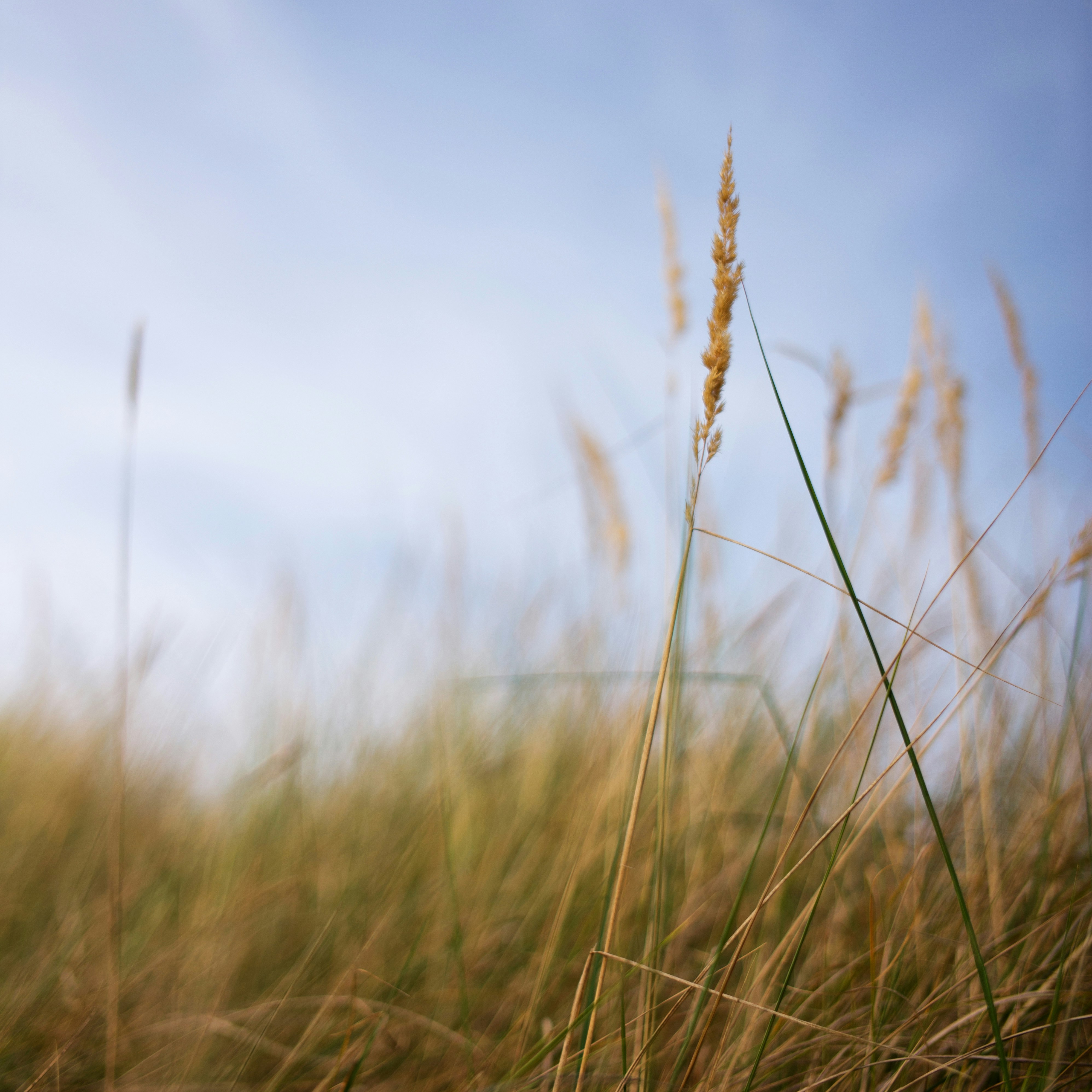 Free Unsplash photo from Rowan Heuvel