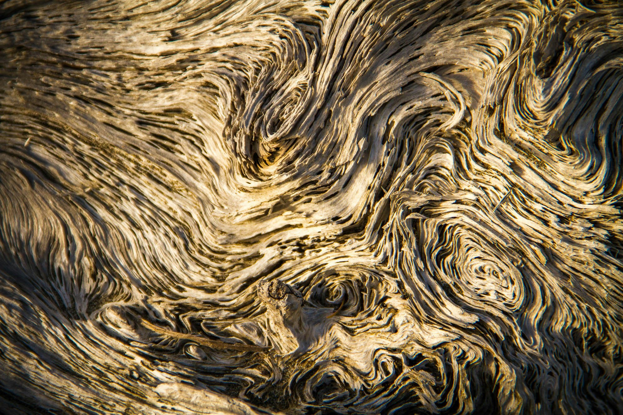 Free Unsplash photo from Cassandra Moore