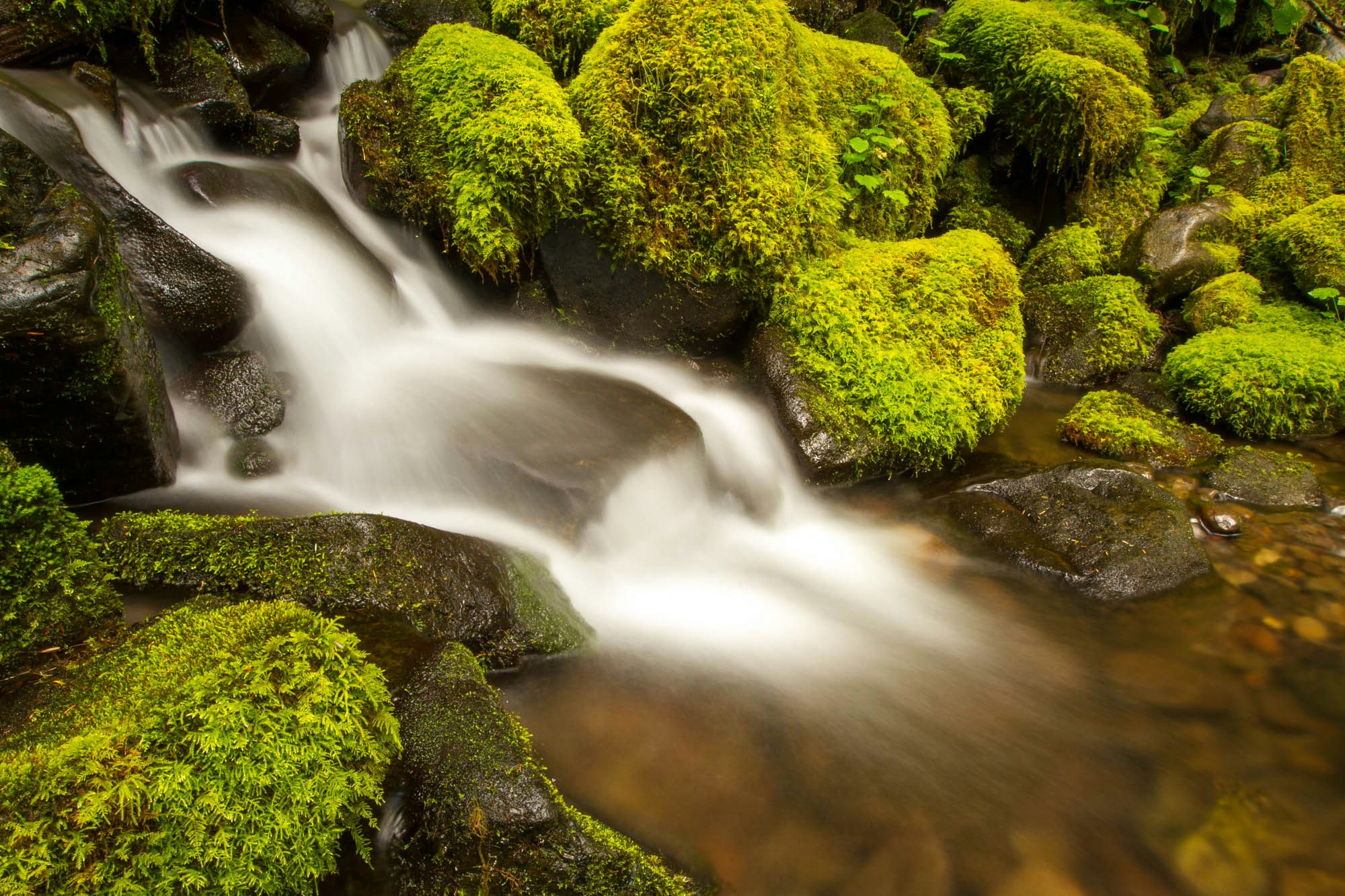 Serene Waterfall