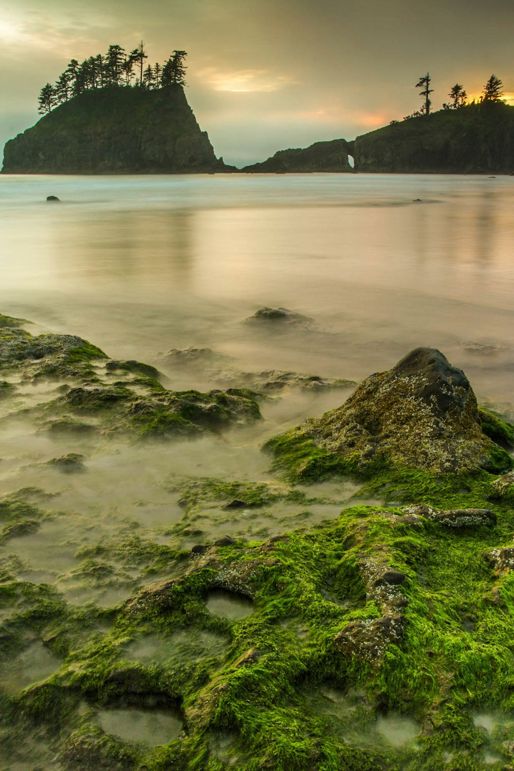 green moss on gray stones near body of water during dawn