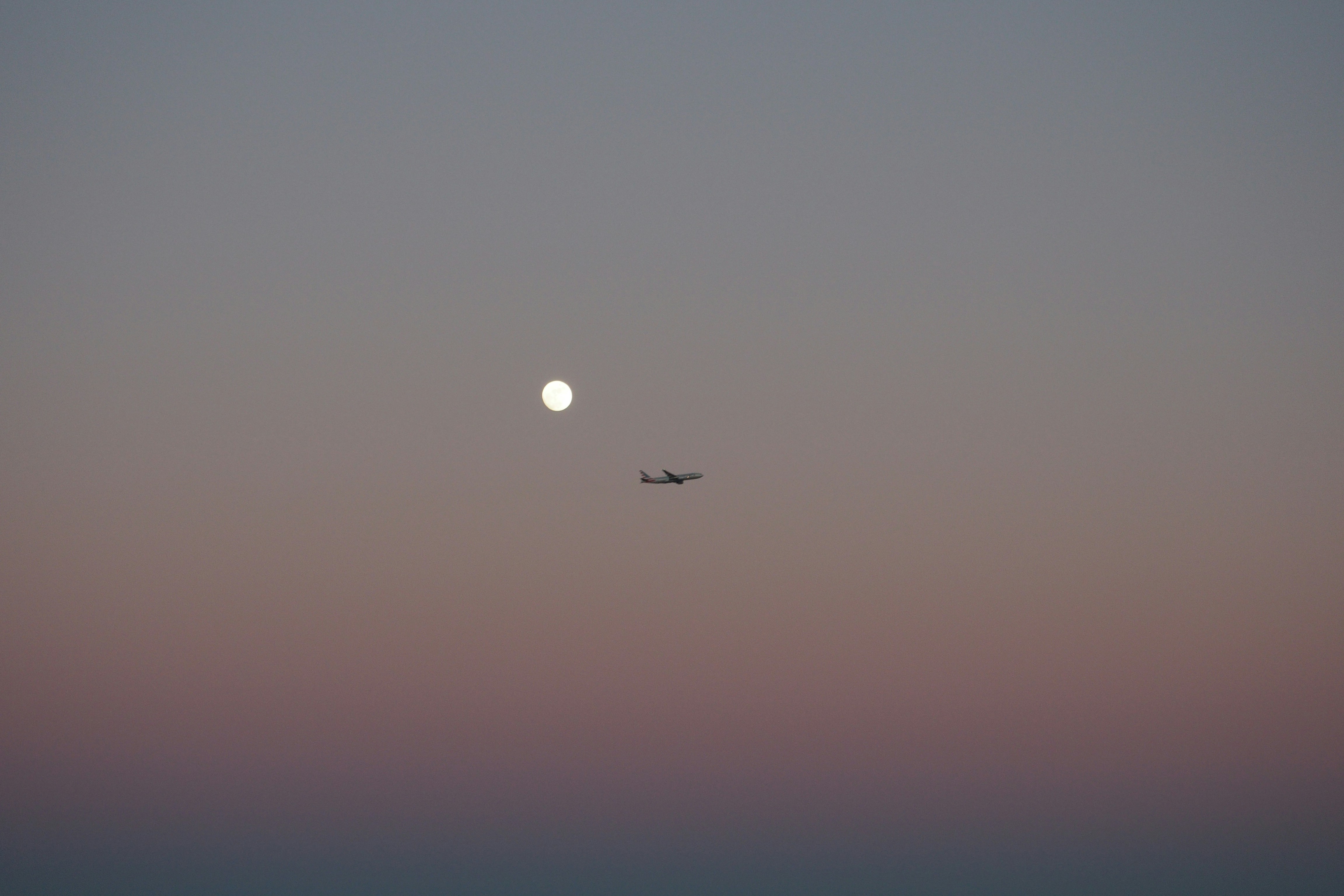 silhouette photo of plane on the sky, Airplane and moon on sky