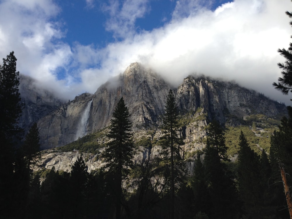 mountain with fog during daytime