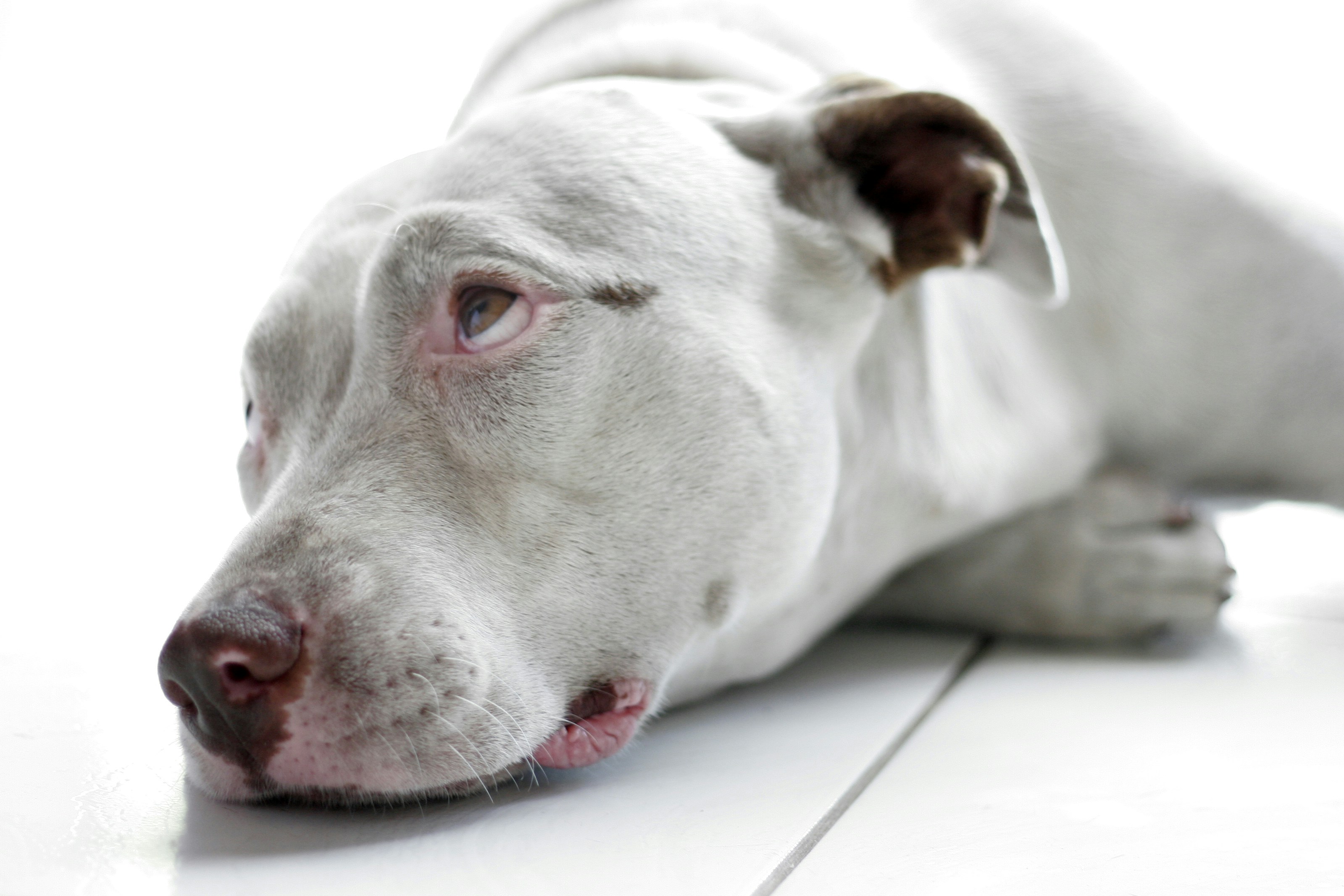 Free Unsplash photo from Douglas Ferreira Palermo