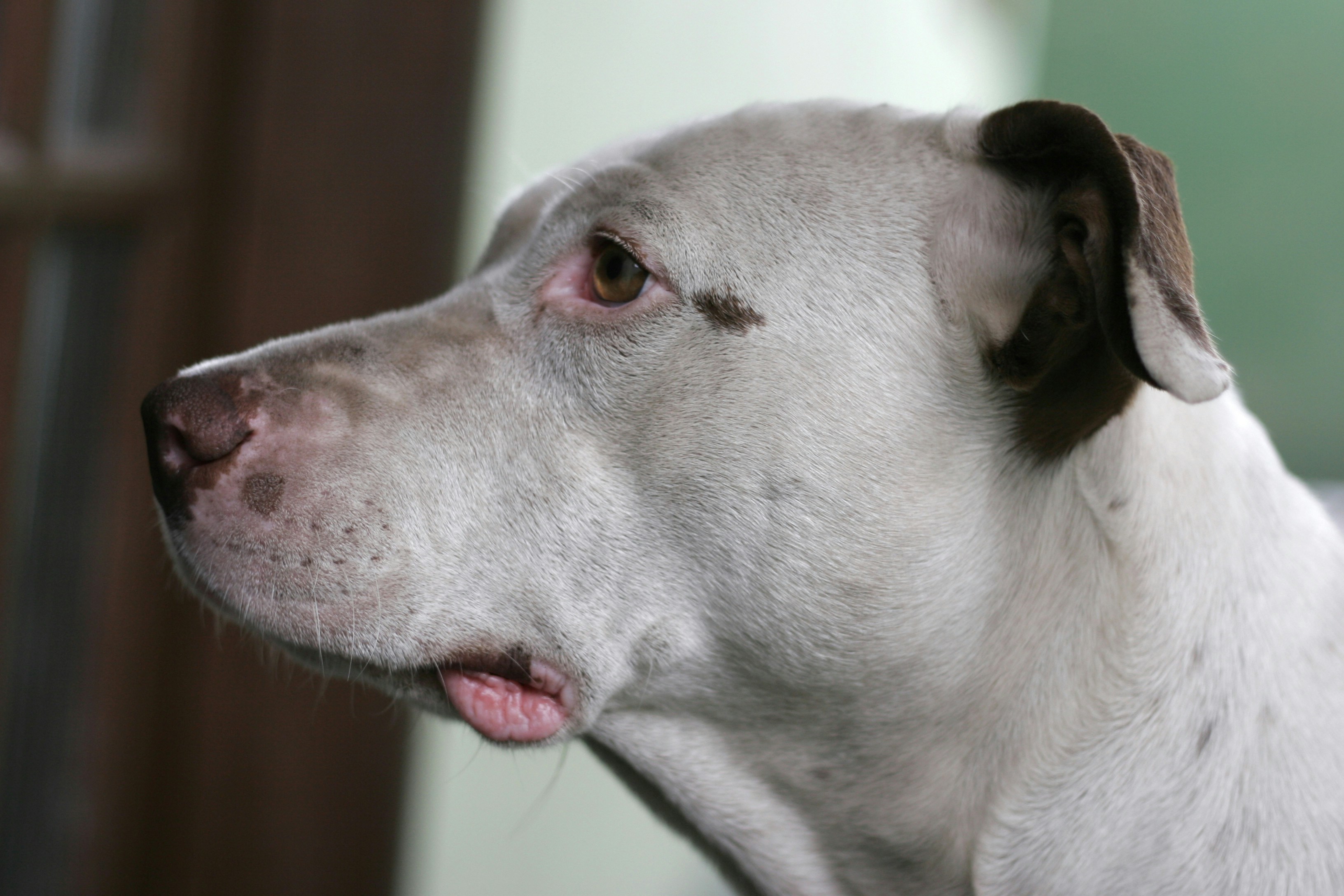 Free Unsplash photo from Douglas Ferreira Palermo