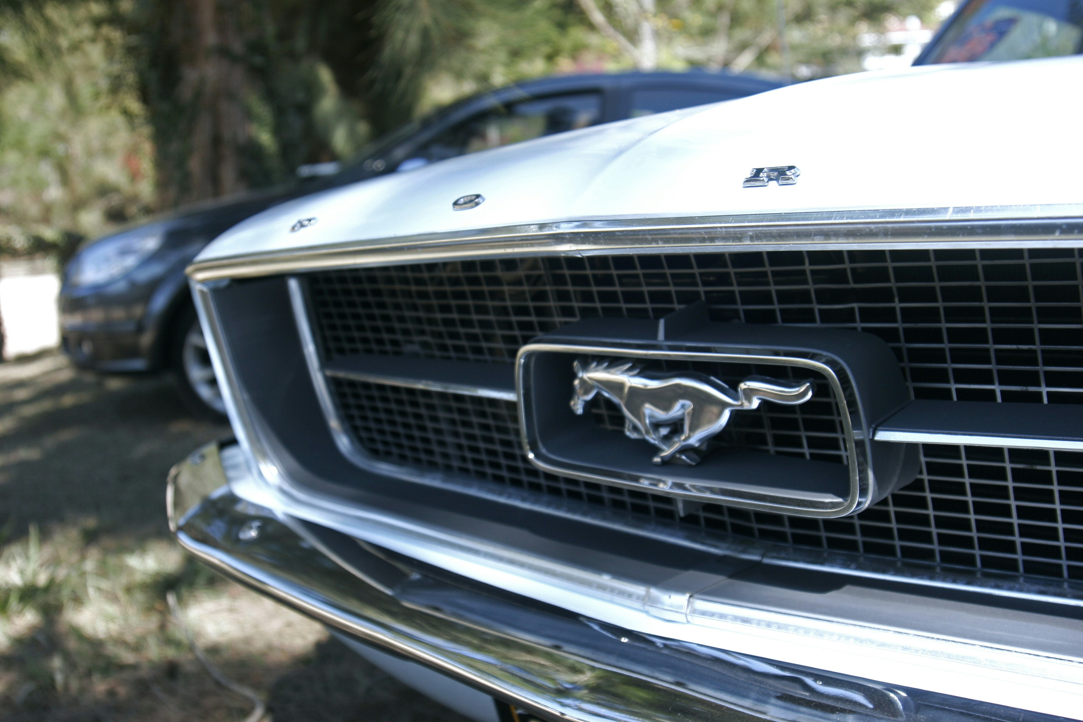 Free Unsplash photo from Douglas Ferreira Palermo