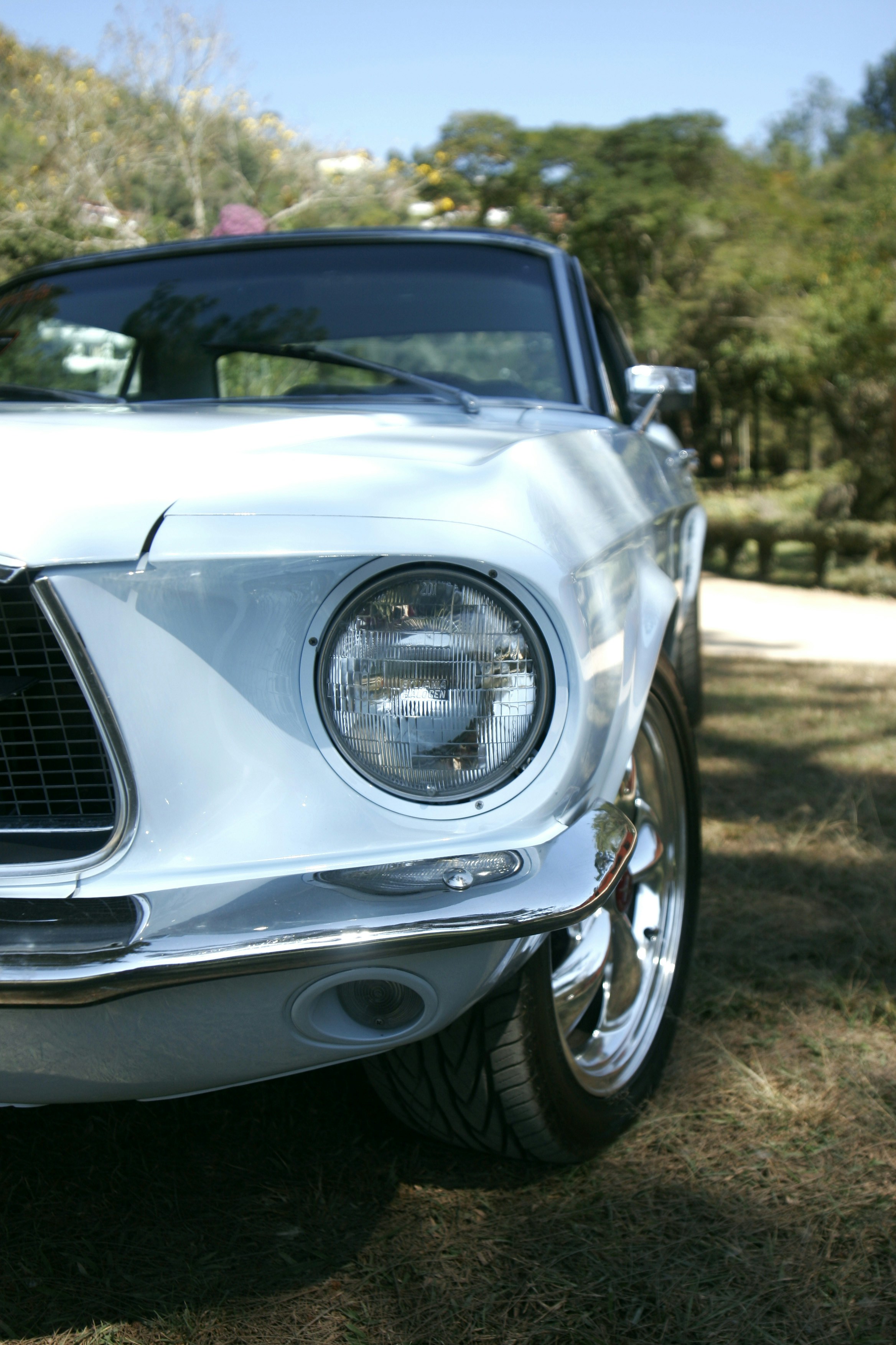 Free Unsplash photo from Douglas Ferreira Palermo