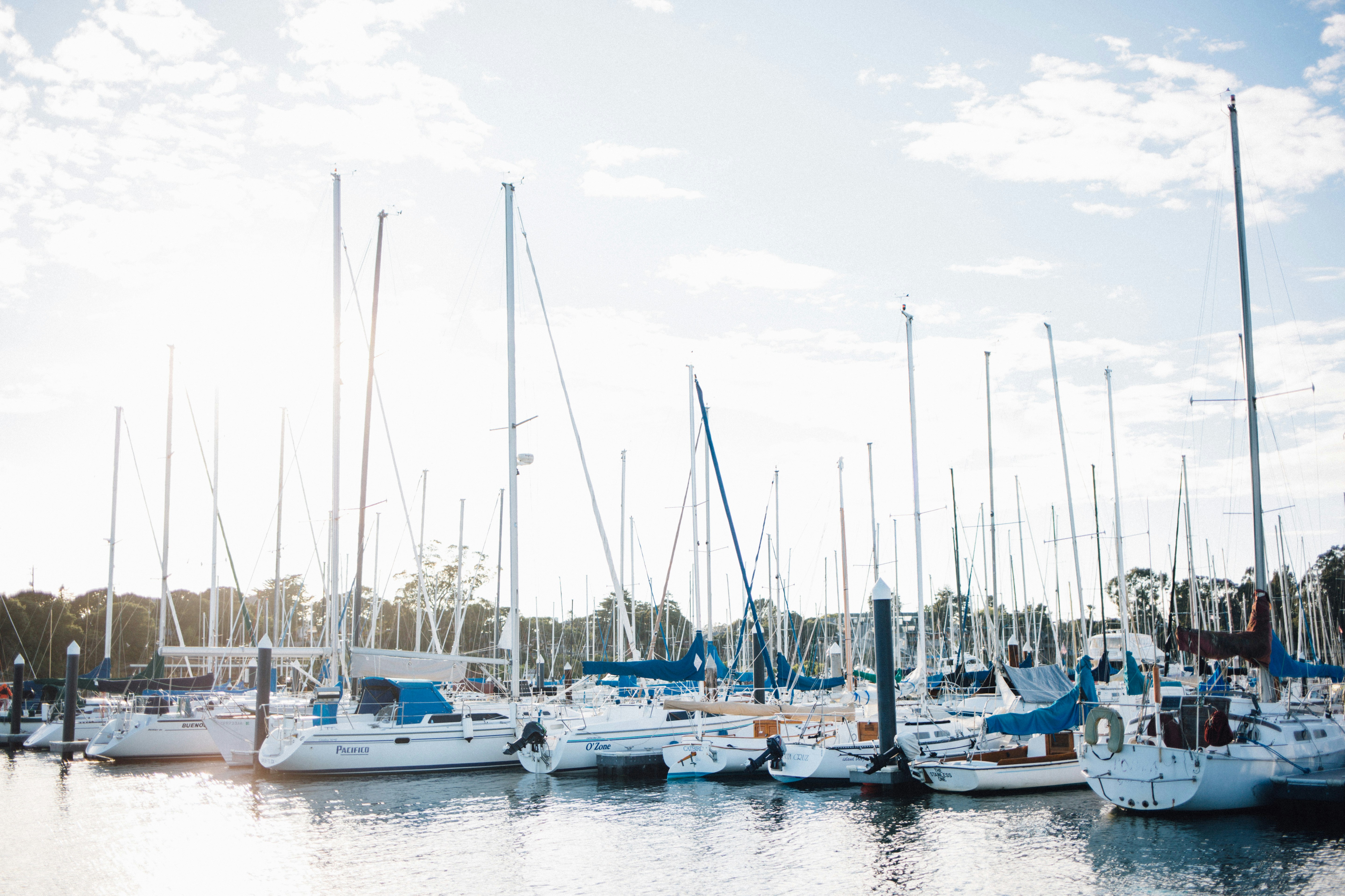 Free Unsplash photo from Mandalyn Renicker