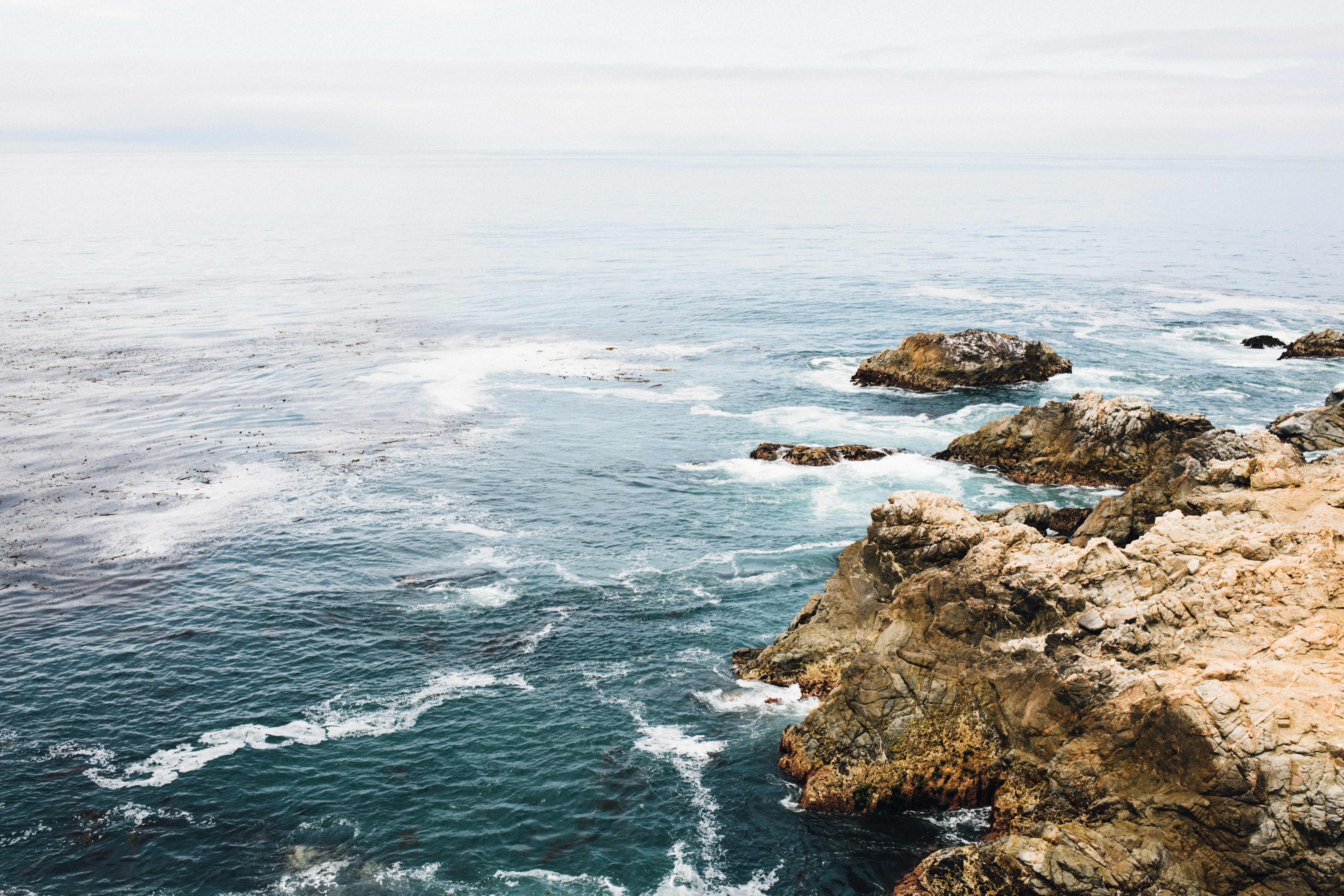 Free Unsplash photo from Mandalyn Renicker