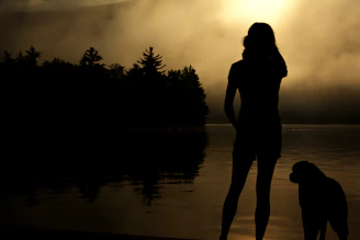 Silhouette of a person standing peacefully by a forest lake during a misty, tranquil sunrise.
