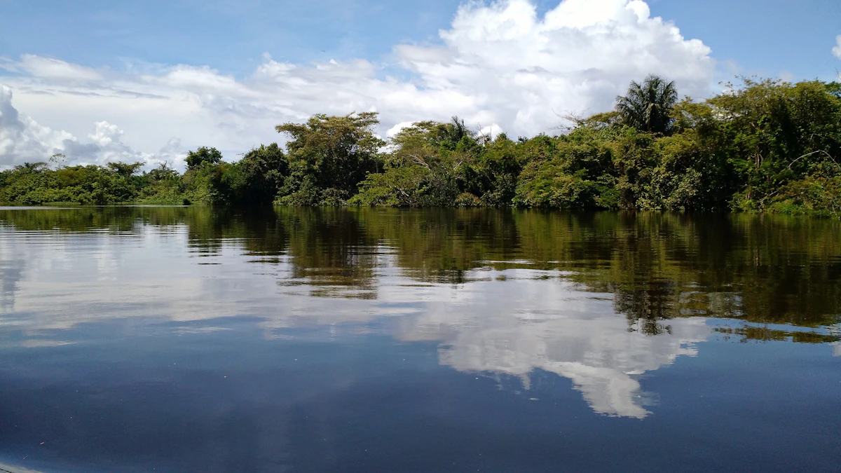 Amazon river jungle from Iquitos, Peru