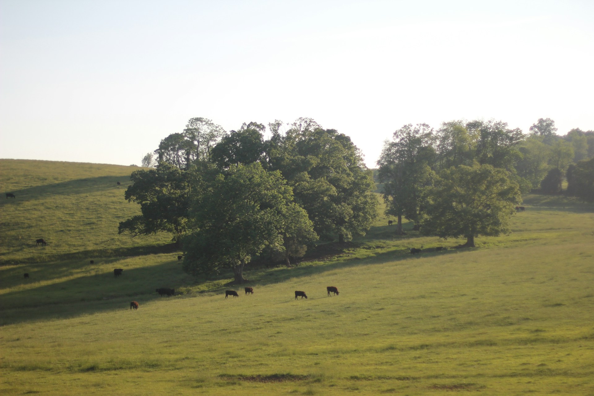 woman wearing yellow long-sleeved dress under white clouds and blue sky during daytime
