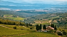 Borse estate 2015, nuove tendenze