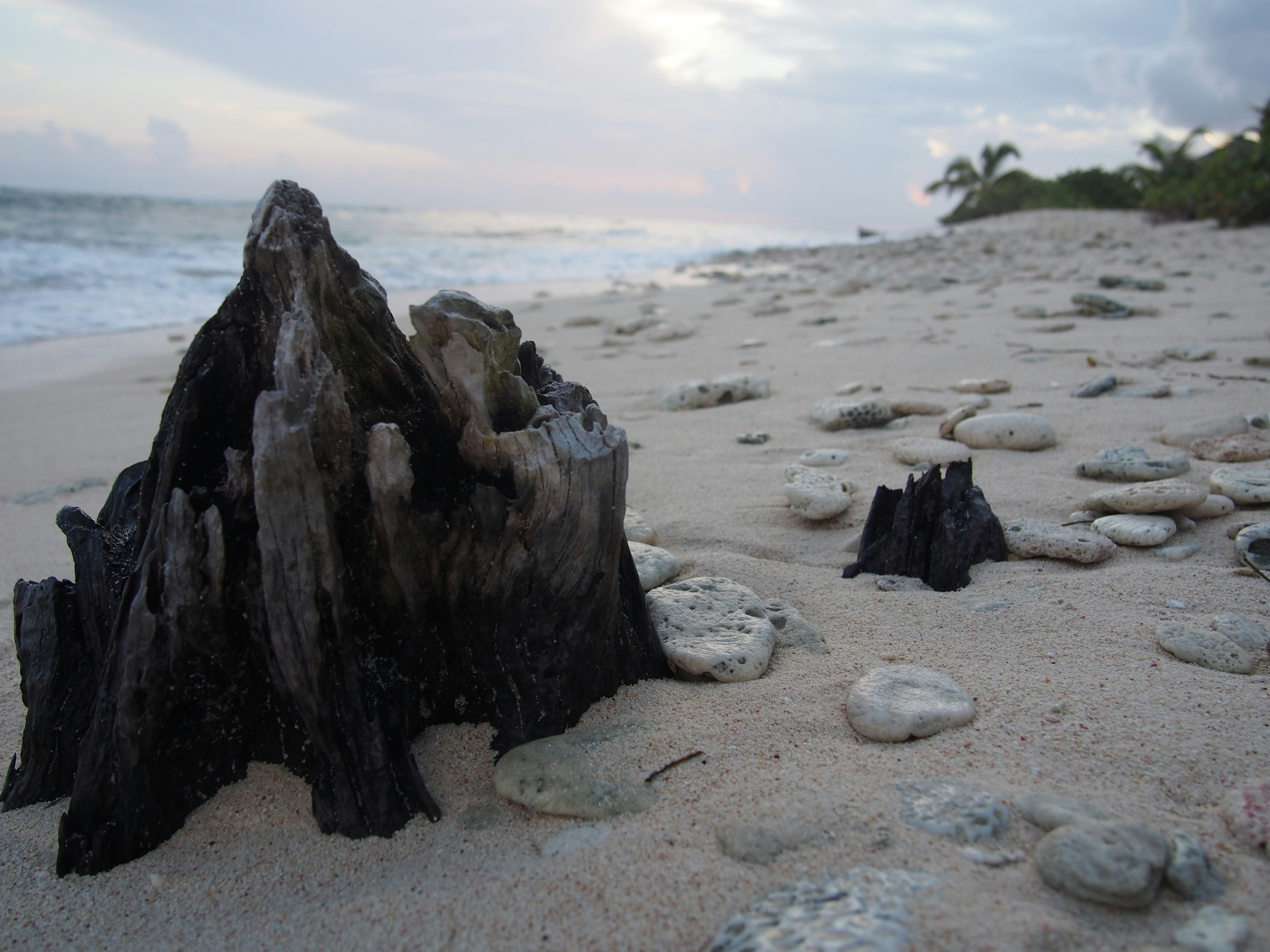 Free Unsplash photo from Christopher Hadome