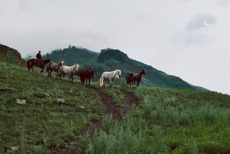 A group of travelers riding horses through a misty Andean mountain landscape at sunrise.