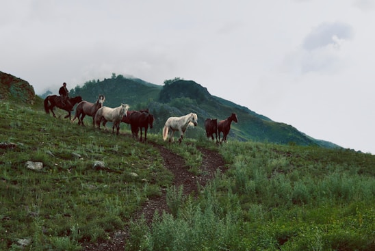 A group of travelers riding horses through a misty Andean mountain landscape at sunrise.