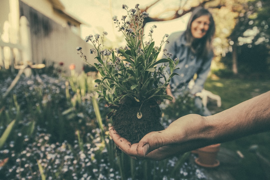 smart technology for gardens