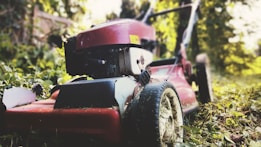 A red lawn mower sits on a grassy area surrounded by lush greenery. The focus is on the wheels and cutting deck, covered with remnants of grass. The background is slightly blurred with hints of sunlight filtering through the trees.