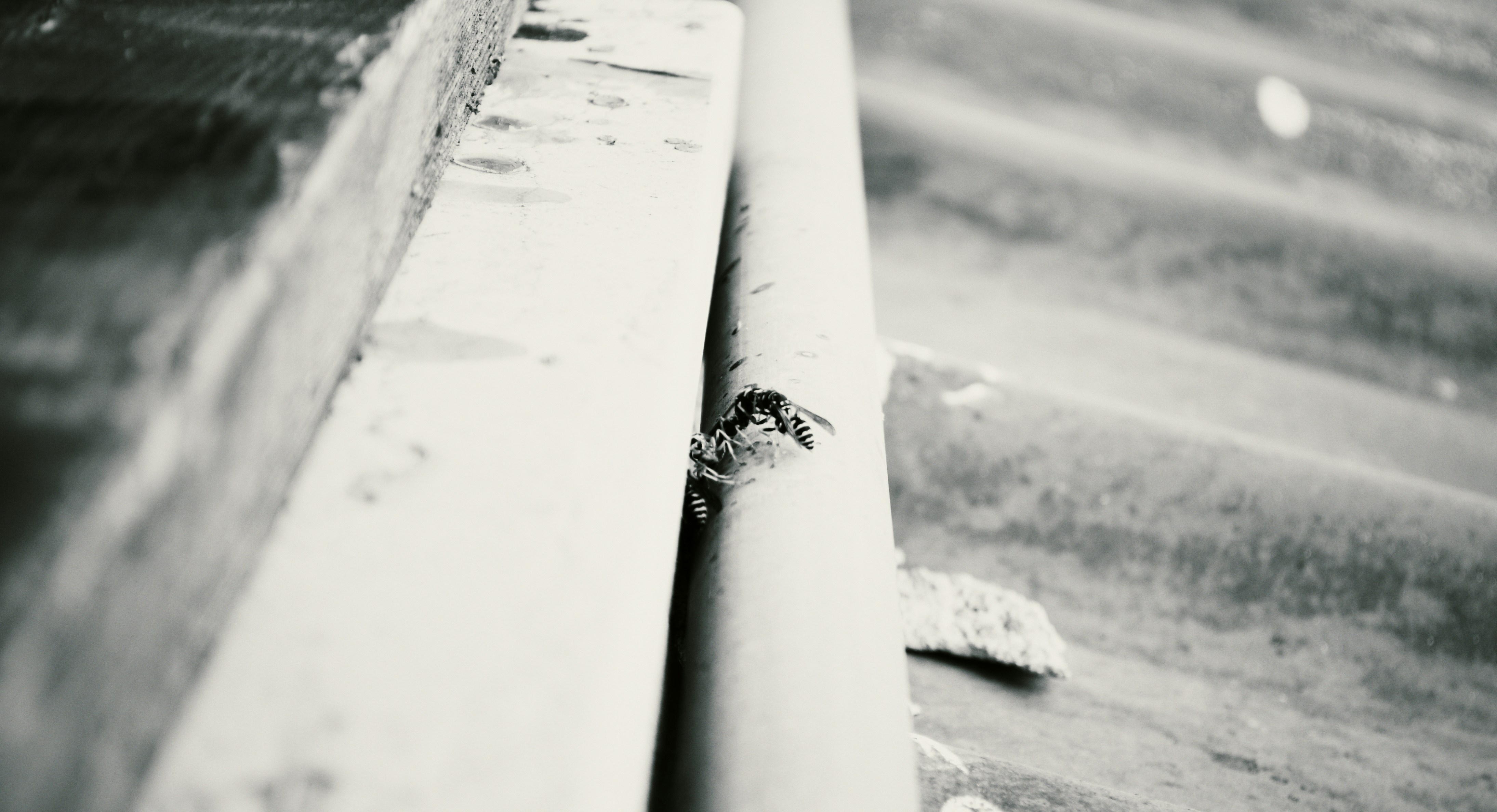 Free Unsplash photo from Marian Luzi