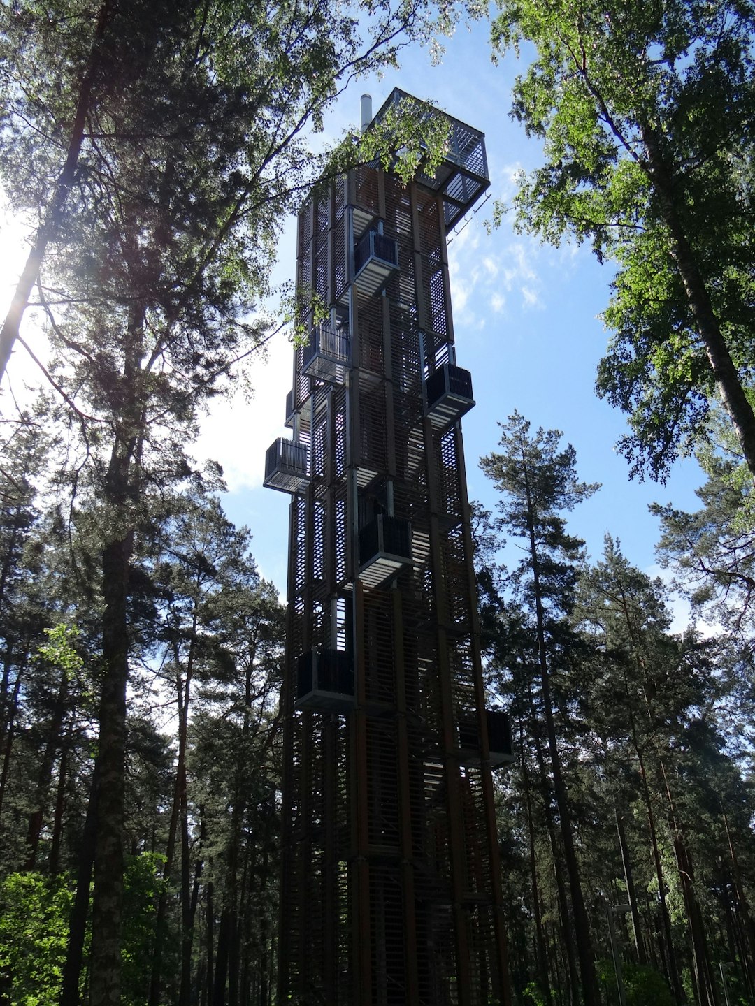 worm's-eye view photography of tree house in forest