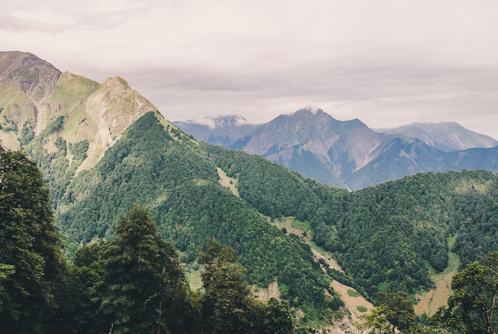 high angle photography of forest-covered mountain