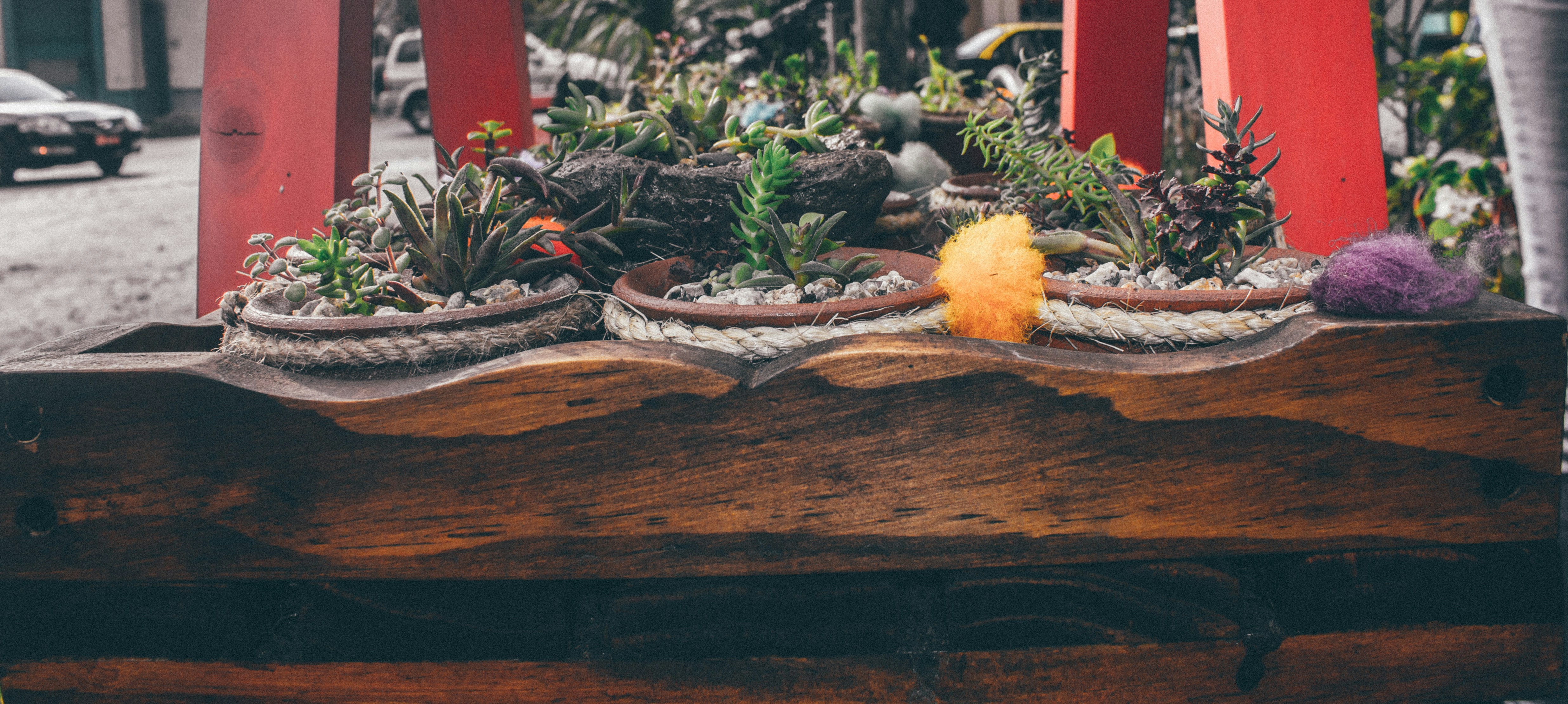 Free Unsplash photo from Javier Graterol