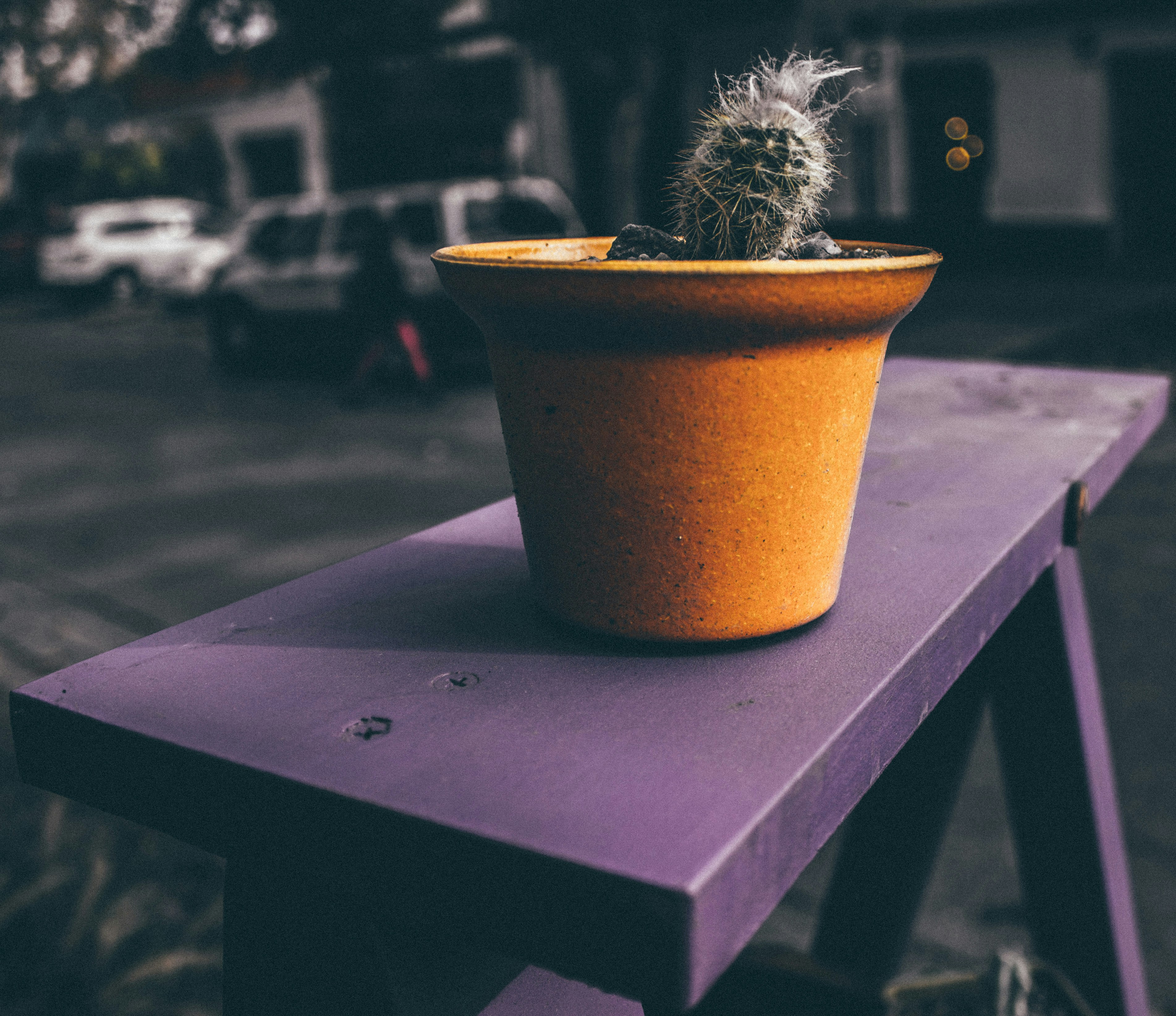 Free Unsplash photo from Javier Graterol