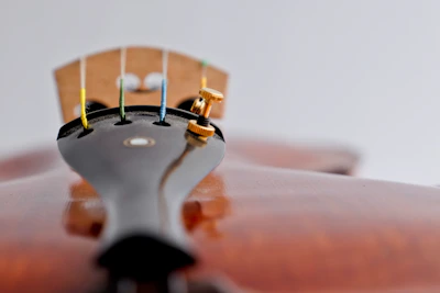 Picture showing a detailed view of a luthier adjusting the bridge on a cello in natural light.