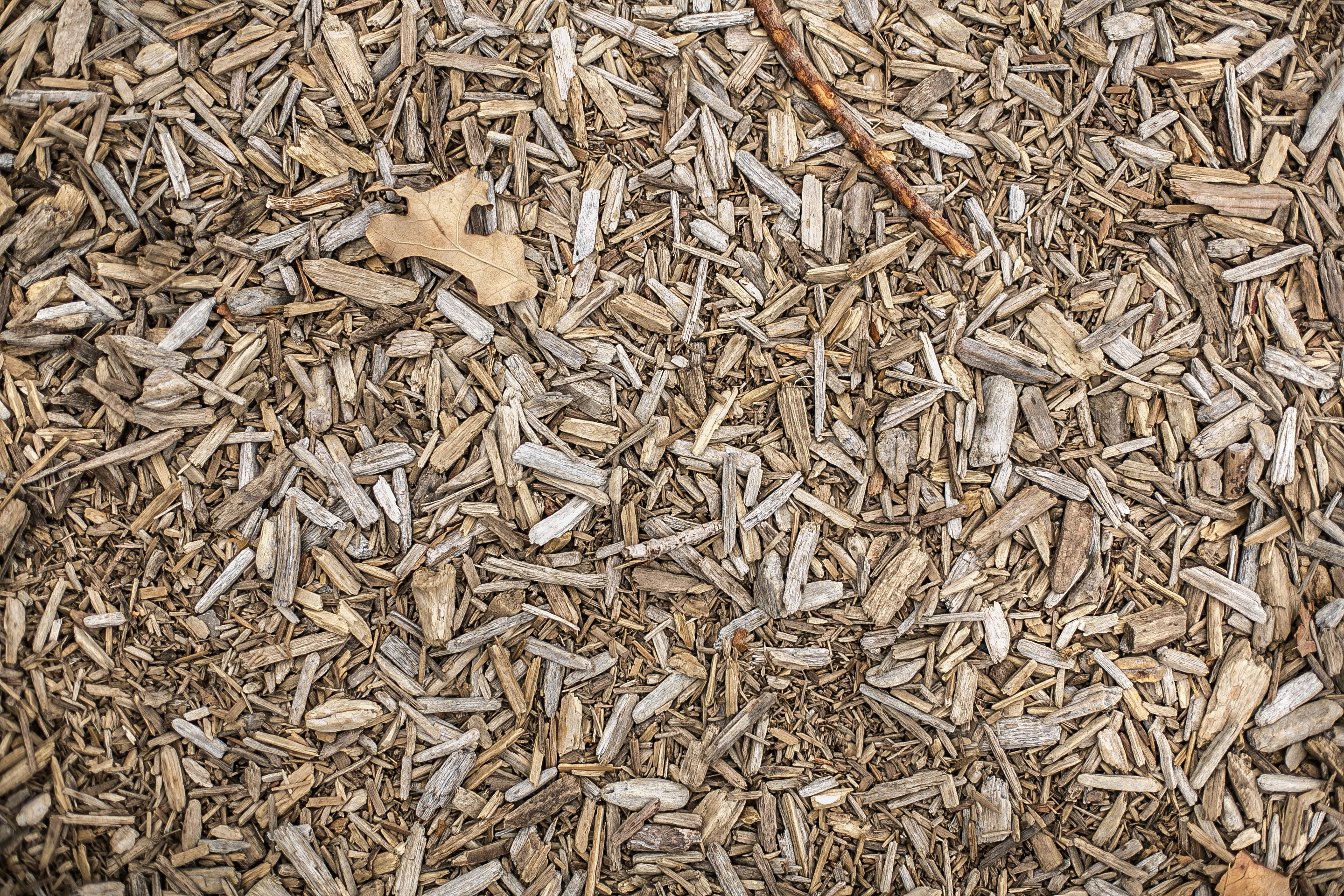 Free Unsplash photo from Eric Huecker