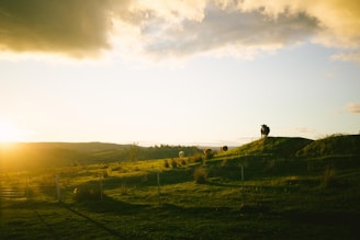 An inviting and romantic image depicting a scenic cowboy landscape.