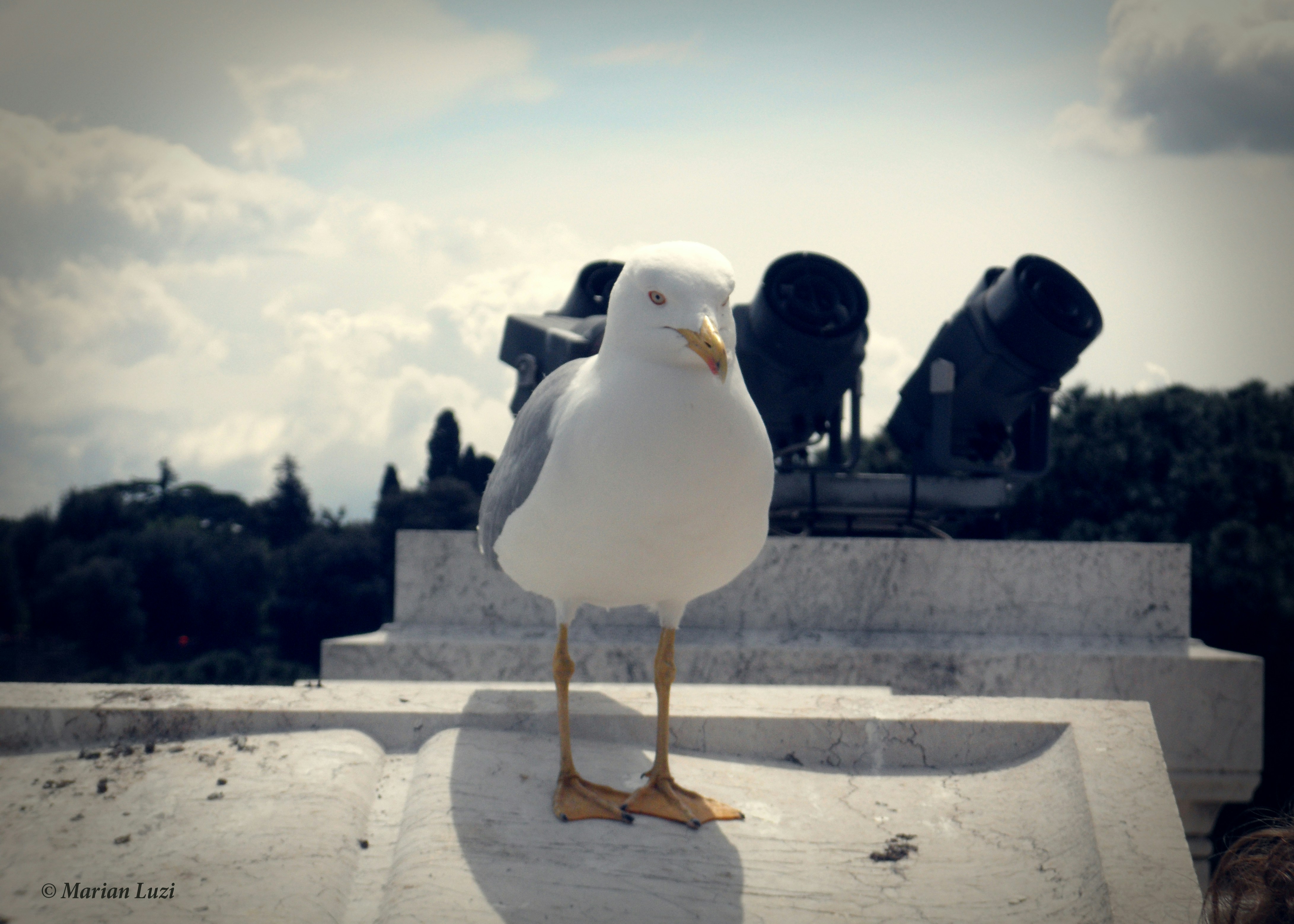 Free Unsplash photo from Marian Luzi