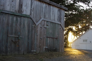 A rustic wooden barn stands prominently, with weathered wood panels and a simple latch mechanism on the large doors. The sunlight peeks through trees in the background, casting a warm glow on the ground and illuminating a nearby white building.