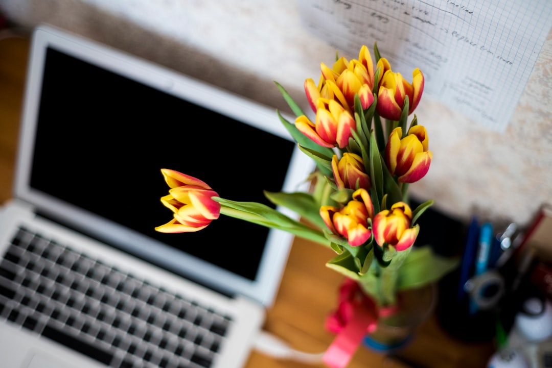 silver laptop computer and yellow-and-red petaled flowers