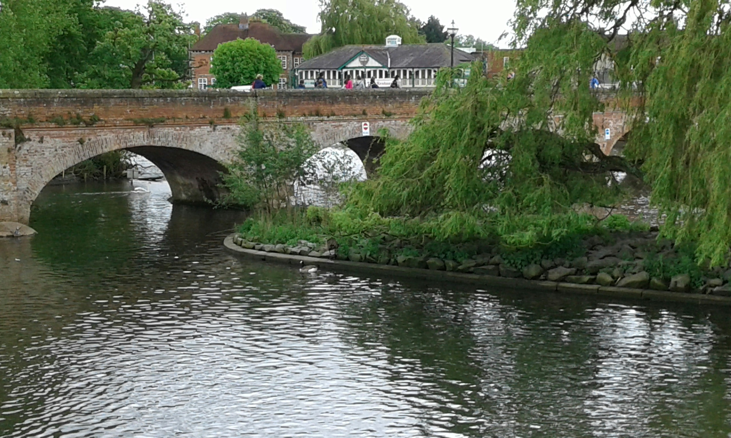 Free Unsplash photo from leena s