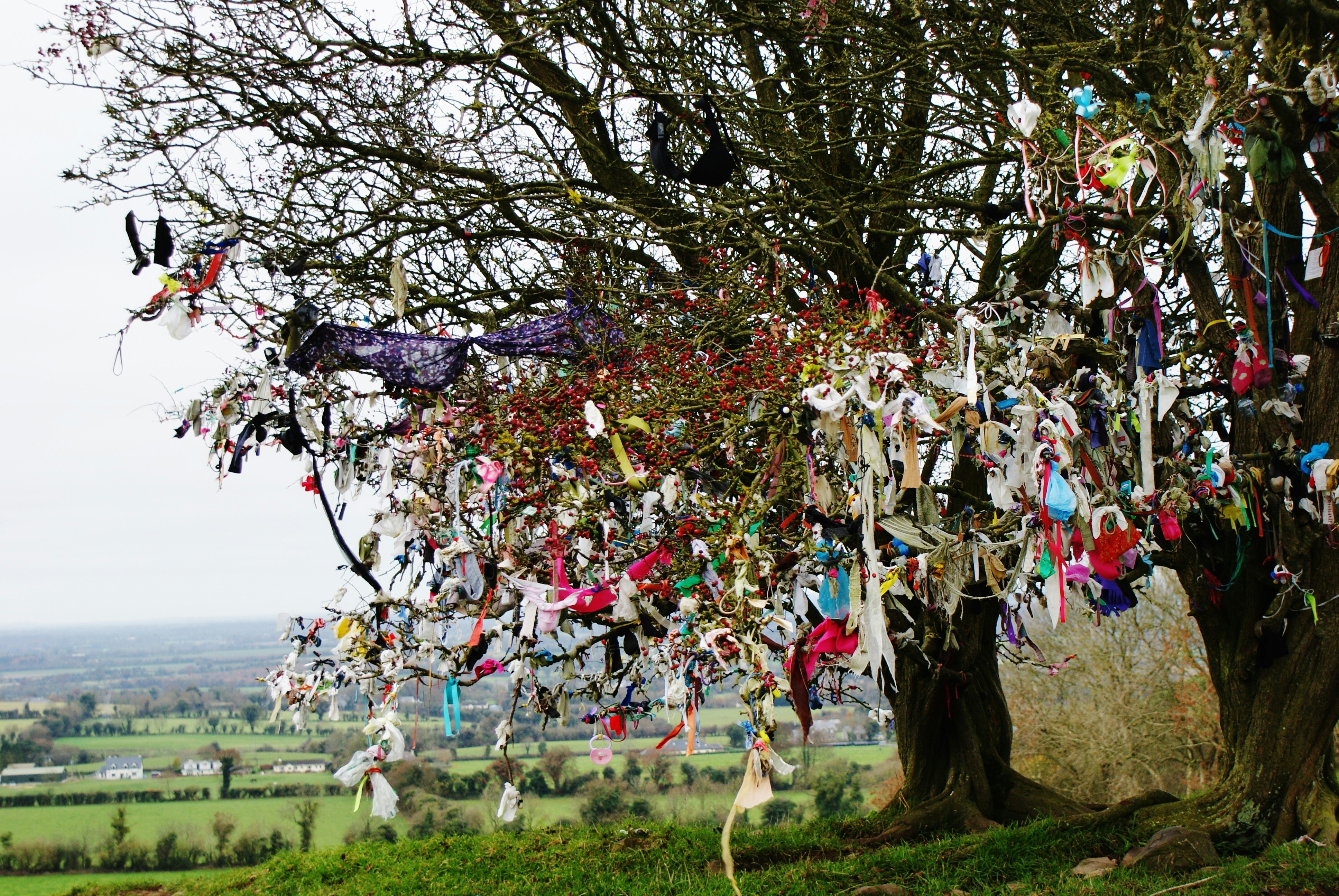 Free Unsplash photo from Alex Gindin