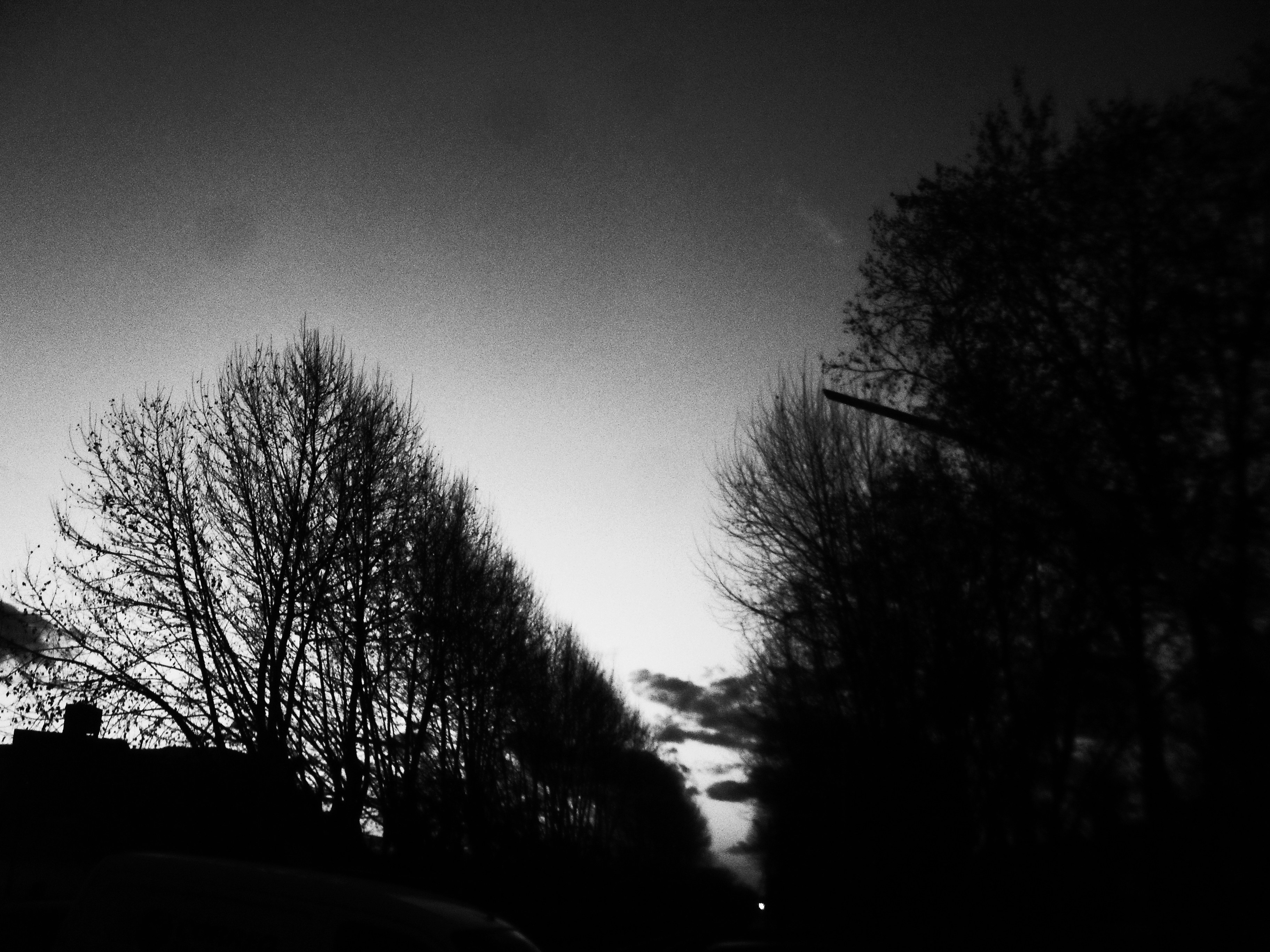 Free Unsplash photo from Leonel Vieyra