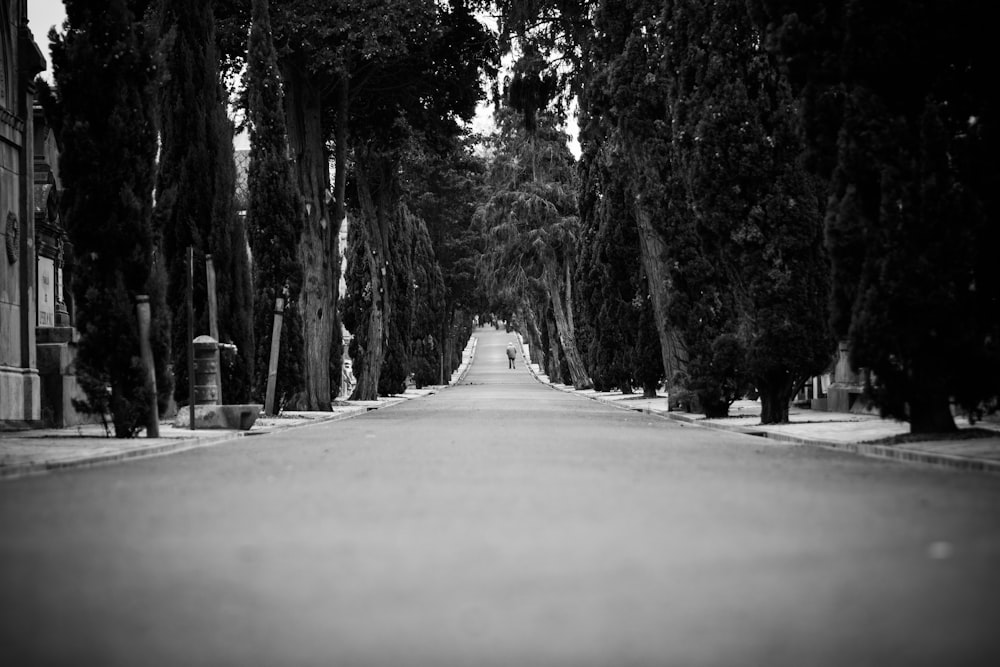 gray concrete road