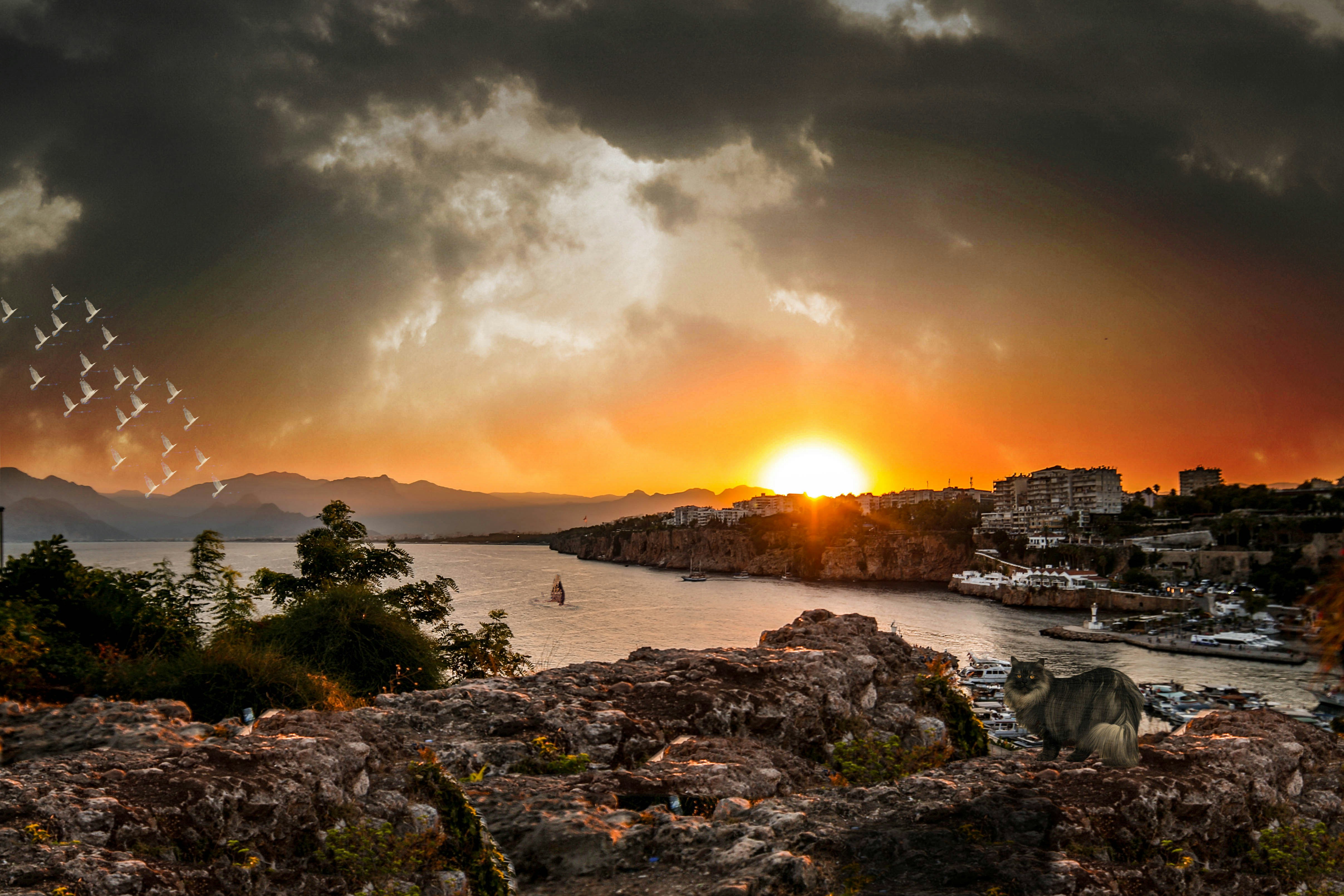 Free Unsplash photo from Serhat Duygun