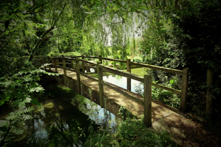 A serene wooden bridge arching over a gentle stream surrounded by lush greenery.