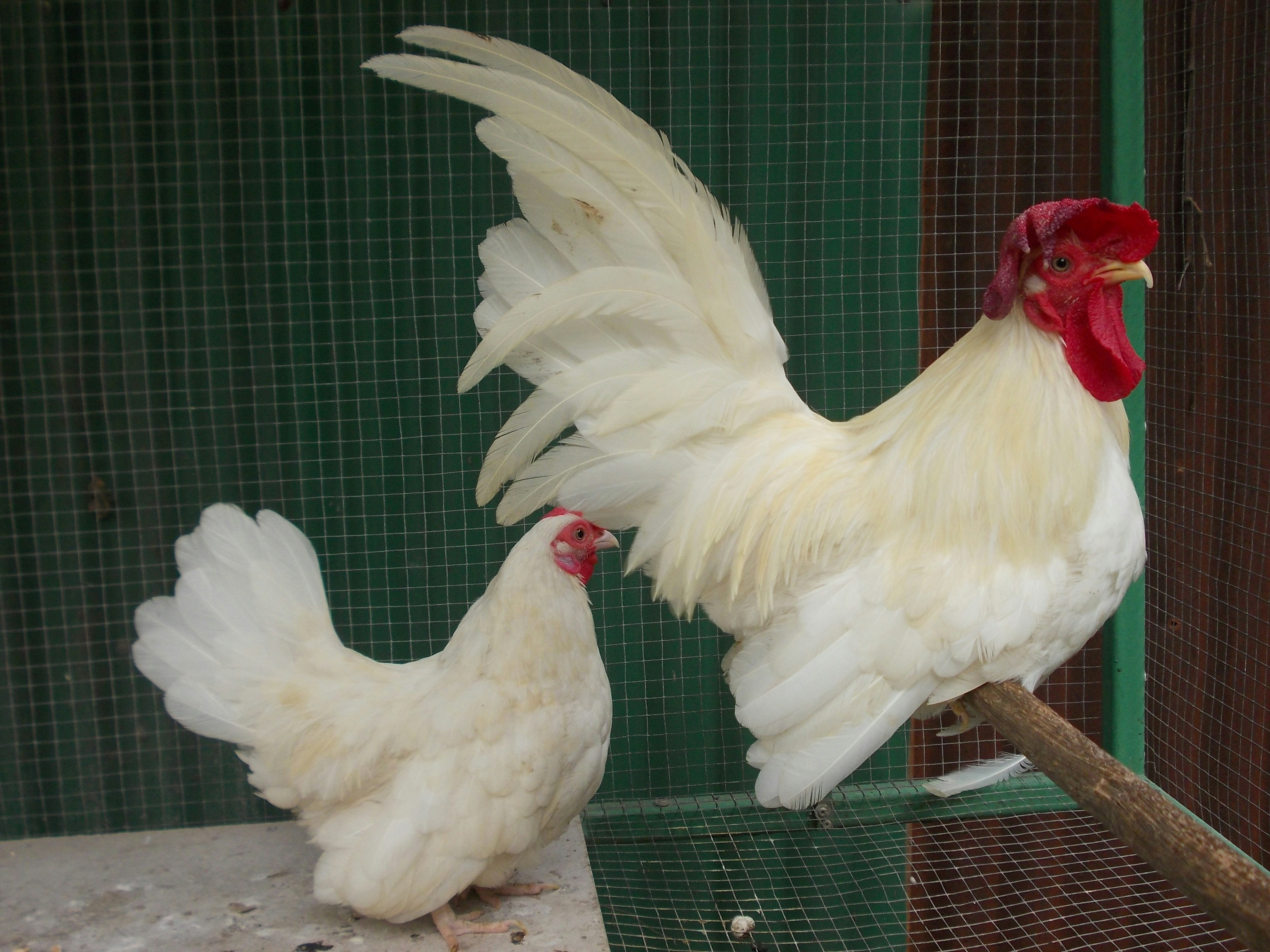 Free Unsplash photo from Piyathida Srikum