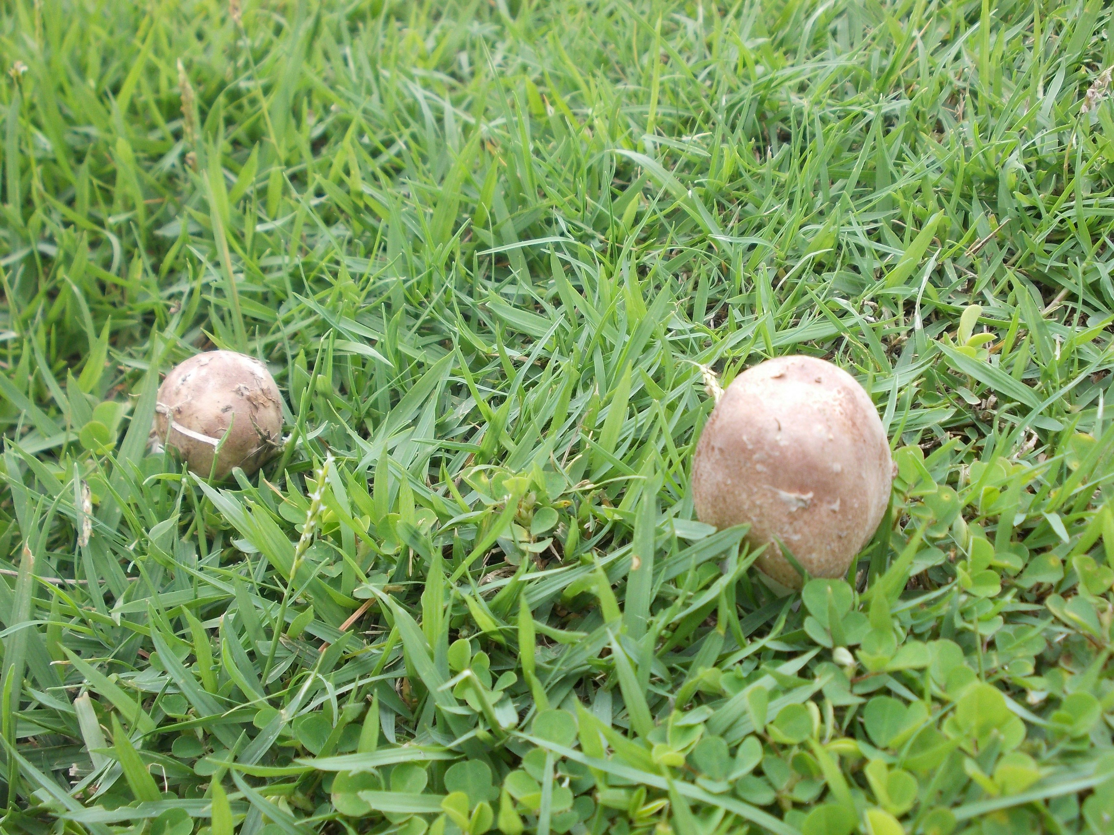 Free Unsplash photo from Piyathida Srikum