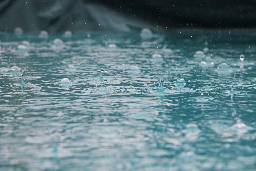 timelapse photography of water drops