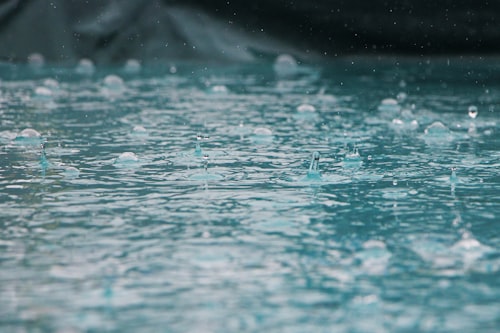 Rain falling on water