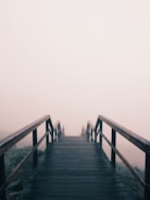 black wooden stairway covered with fog