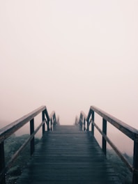 black wooden stairway covered with fog
