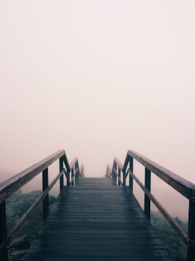 black wooden stairway covered with fog