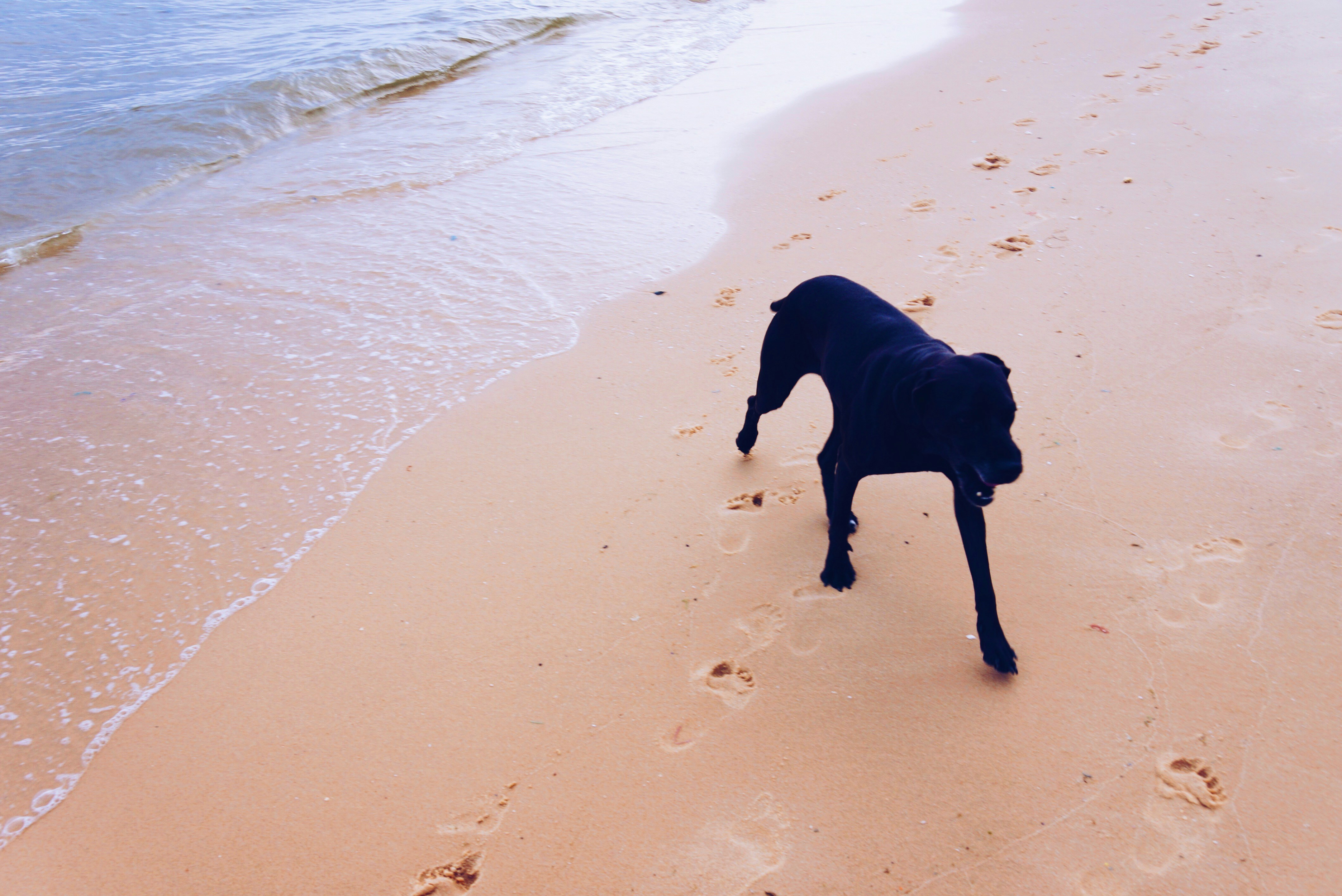 Free Unsplash photo from Nick Liu