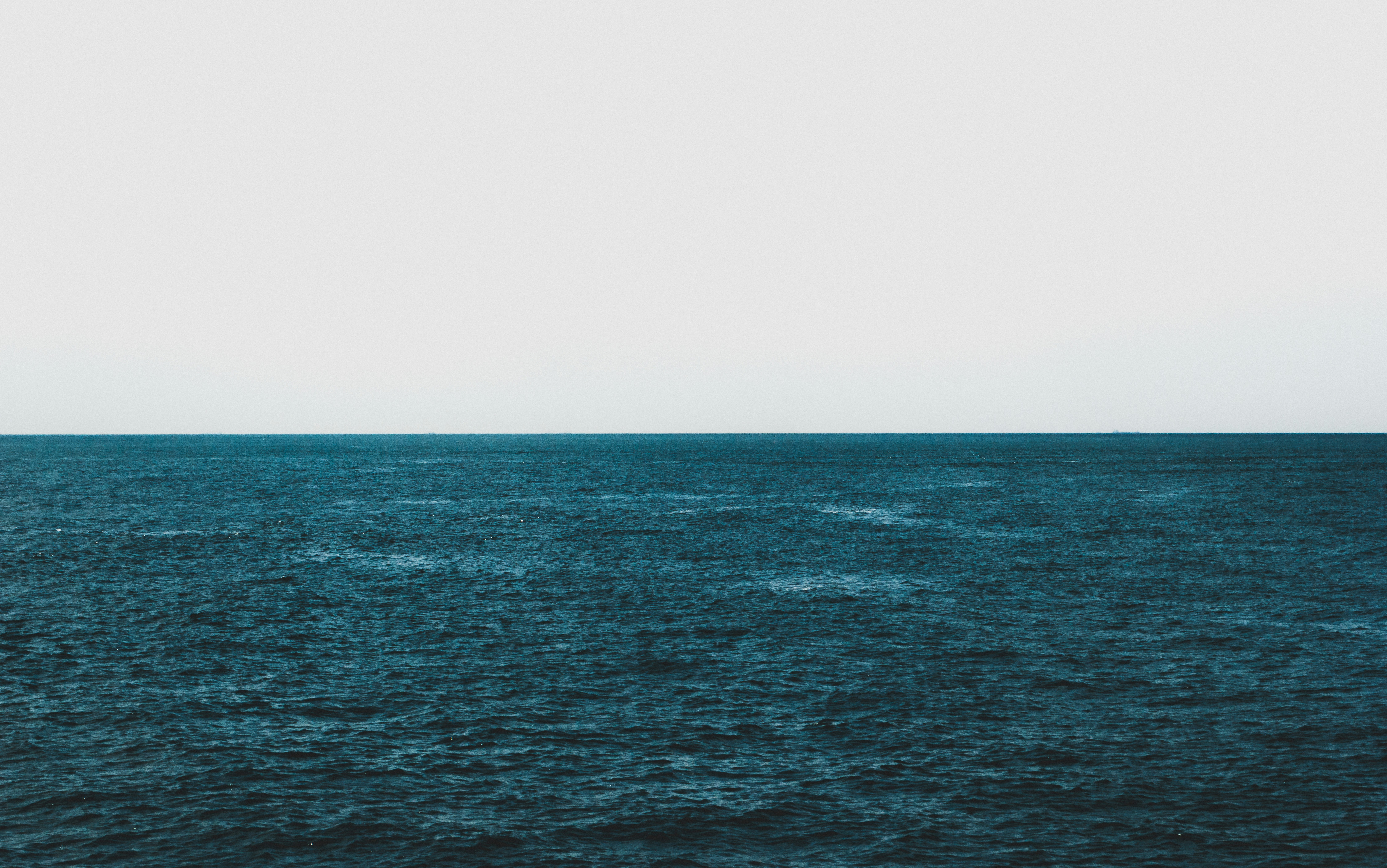 海正蓝