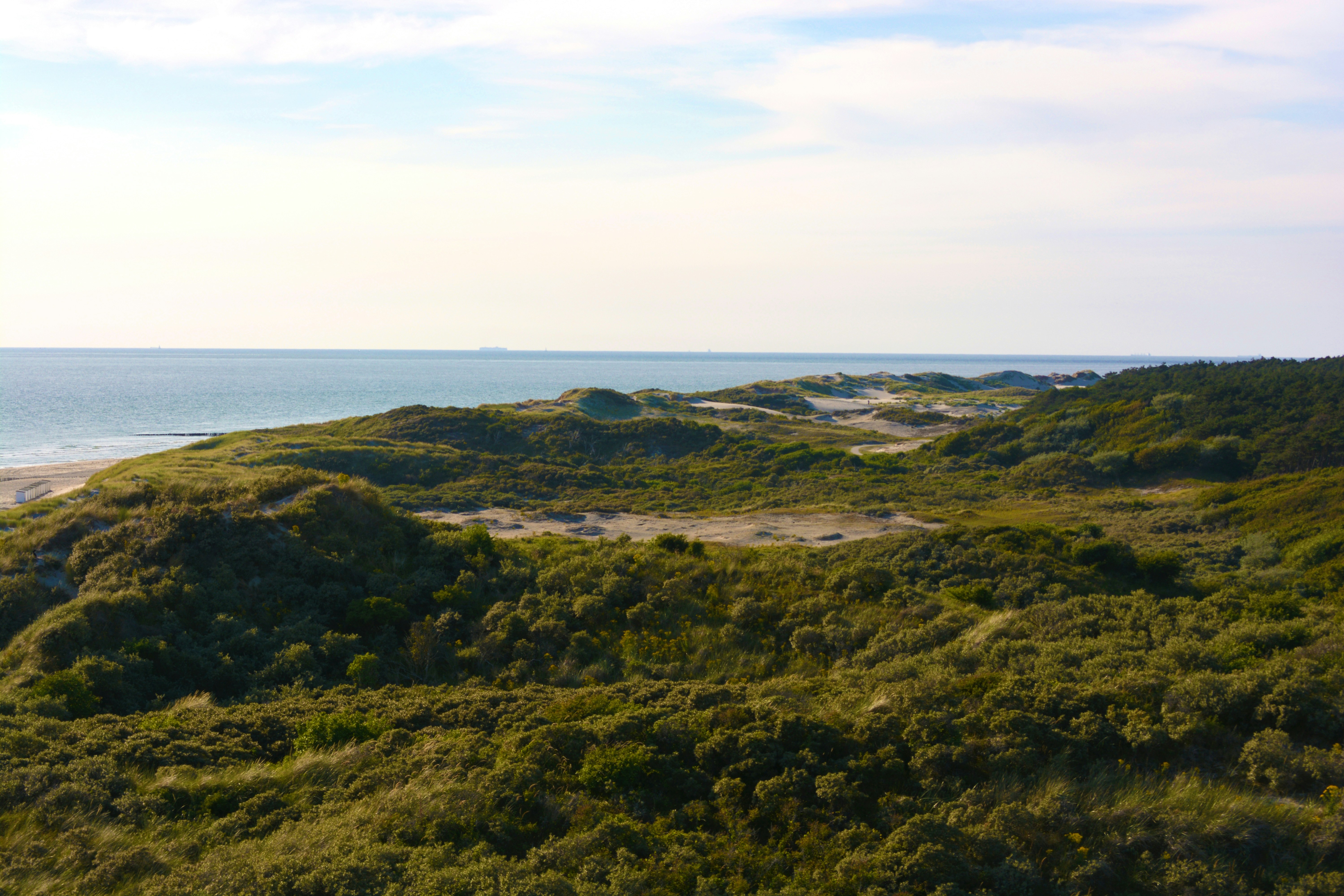 Free Unsplash photo from Herko Rozema