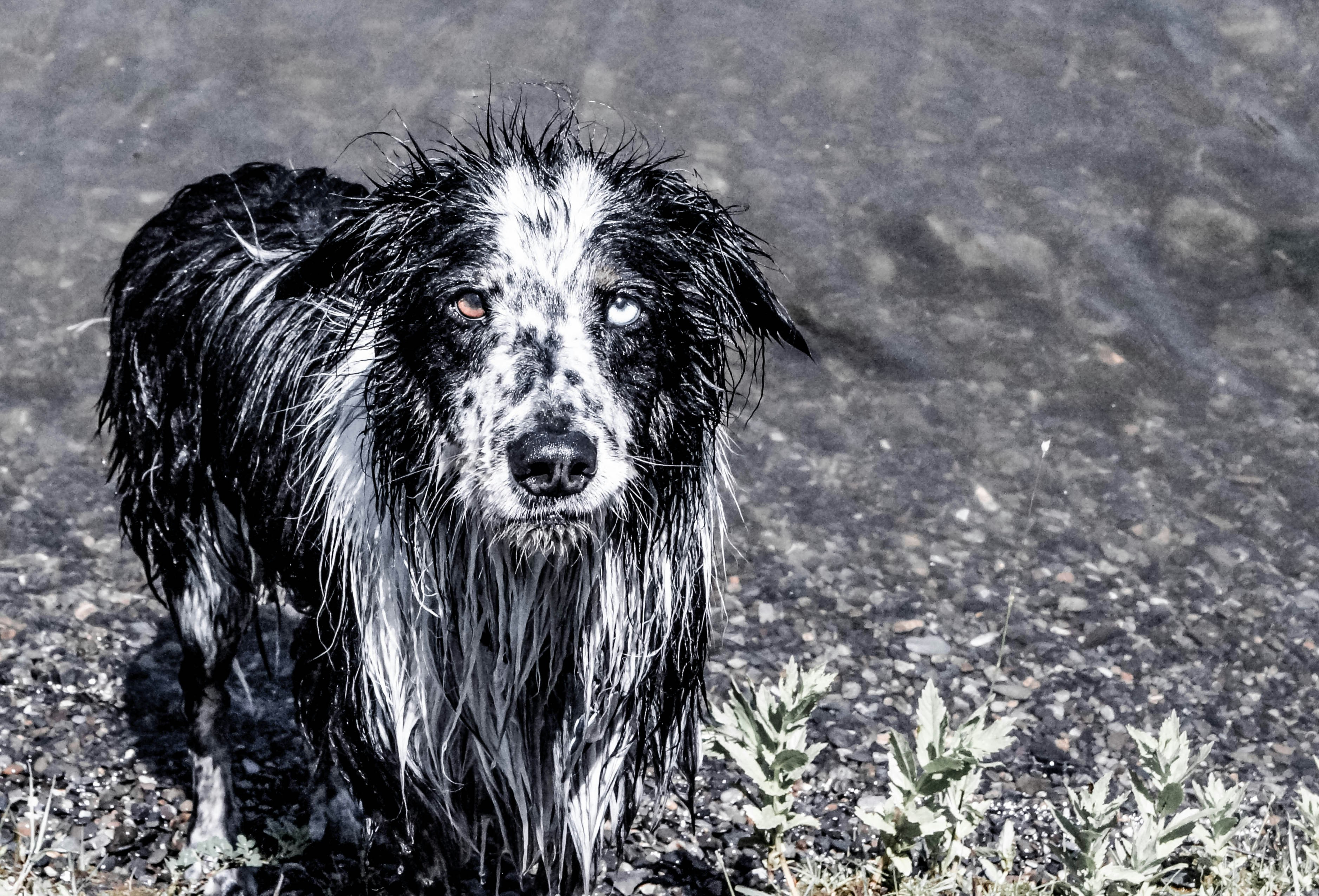 Free Unsplash photo from CJ Williams